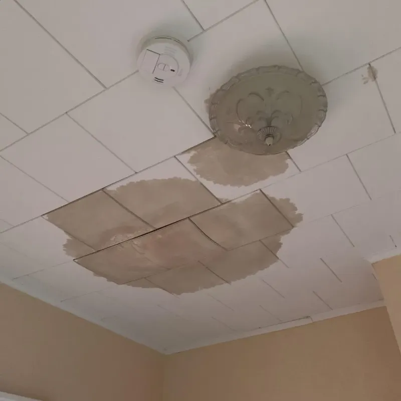 Ceiling Water Damage Repair in Rome, ME