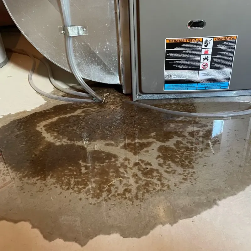 Pipe Burst and Leak Restoration in Rome, ME